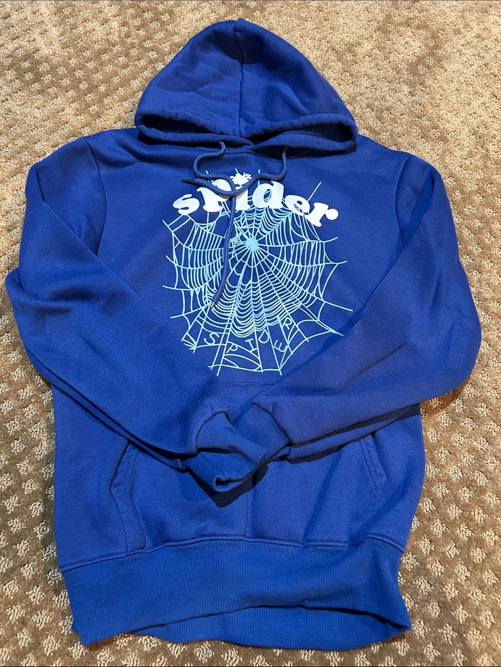 Blue Spider Graphic Pullover Hoodie